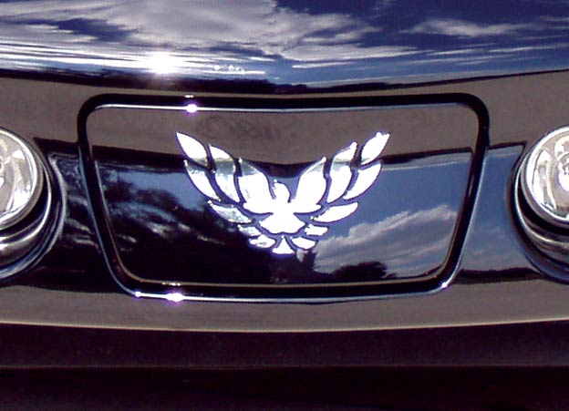  "Trans Am" logo on the doors, the "firebird" logo on the front license 